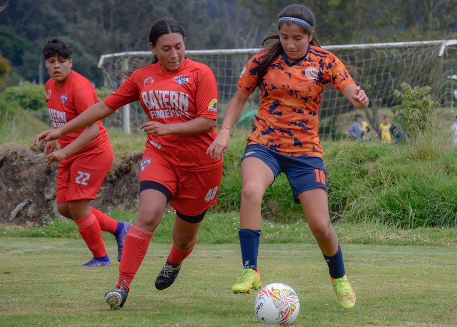 Customer service assistance representative